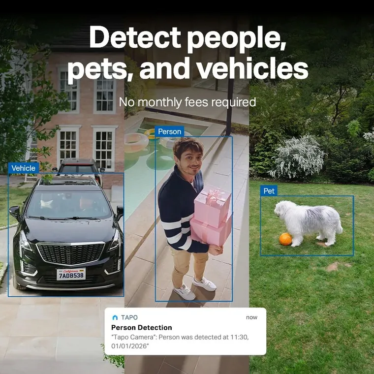 Security camera footage detecting and labelling a person, a vehicle and a dog separately